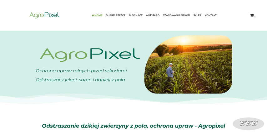 AgroPixel - Paweł Sosnowski
