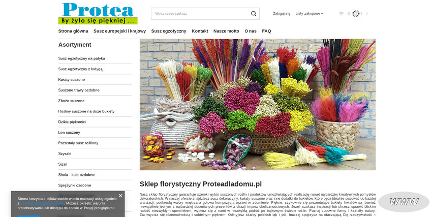 PROTEA Justyna Kościewicz