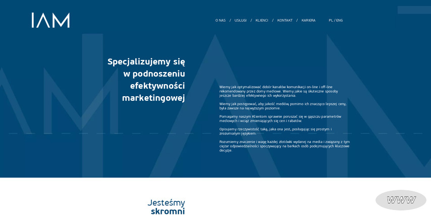 Instytut Audytu Mediowego