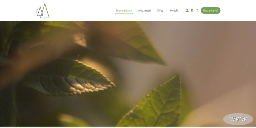 Architektura Harmonii Maciej Widomski